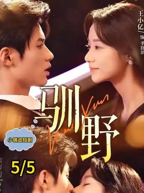 选剧指南配图，长线观看的周更排播日历